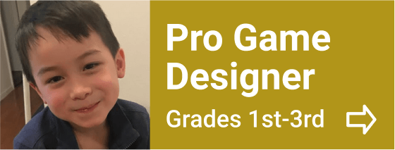 Pro Game Designer